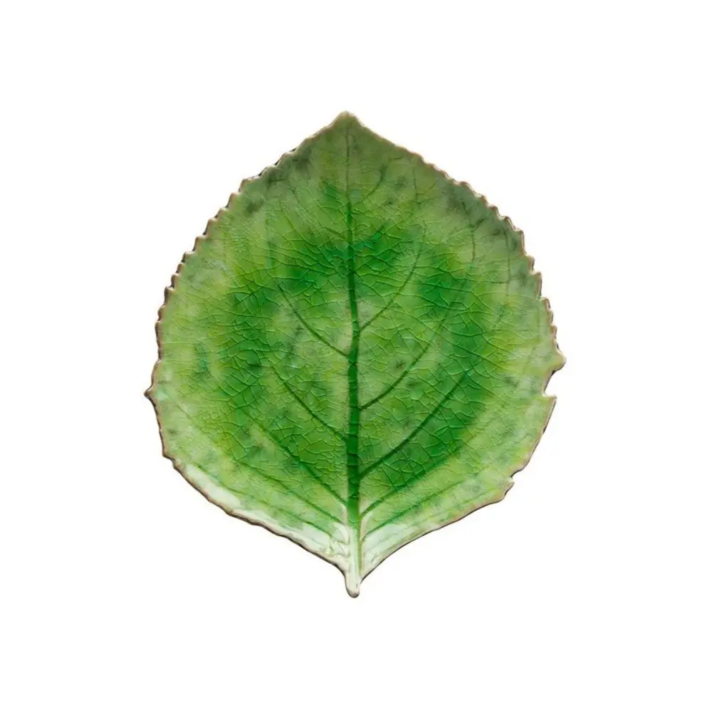 Farfurie din gresie ceramică Costa Nova Riviera, 19 x 22 cm, verde